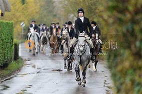 Image result for Kimblewick Hunting