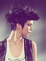 Image result for Cool Punk Hairstyles