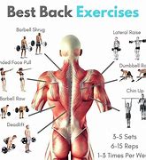 Image result for Back Workout Exercises