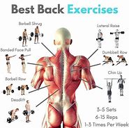 Image result for Best Upper Back Workouts