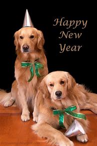 Image result for Happy New Year Puppy