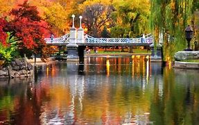 Image result for boston public gardens fall