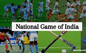 Image result for India National Sport