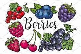 Image result for Phone Berry Draw