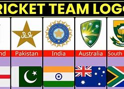 Image result for International Cricket Logo