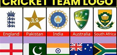 Image result for International Cricket Teams