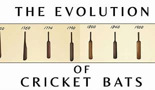 Image result for Cricket Bat Evolution