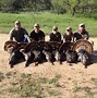 Image result for Wild Turkey Hunting