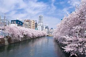 Image result for Yokohama Rivers