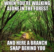 Image result for Funny Forest Meme