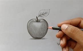 Image result for Apple Drawing Shading