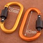 Image result for Carabiner with Hook