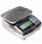 Image result for Electronic Weighing Scale