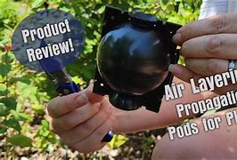 Image result for Air-Layering Pods