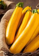 Image result for Types of Yellow Squash