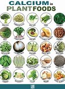 Image result for Calcium-Rich Foods for Adults