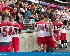 Image result for Male American Football Fans