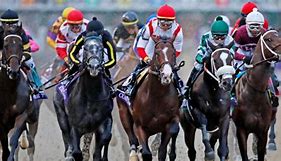 Image result for Kentucky Derby Ideas for Seniors