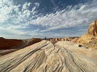 Image result for Nature iPhone 14 Pro Max Photography