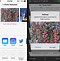 Image result for iOS 7 App Store