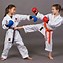 Image result for Kids Doing Karate