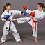 Image result for Kid Do Karate