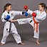 Image result for The Best Karate Fighting Kid and His Family