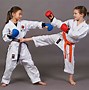 Image result for Children's Karate