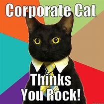 Image result for You Rock Cat Meme
