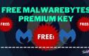 Image result for Malwarebytes Free License Key