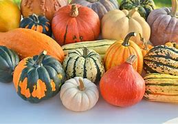 Image result for Winter Squash Types Identify