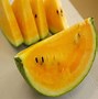 Image result for Melon Hybrid Seeds
