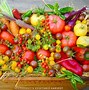 Image result for Go Vegetarian