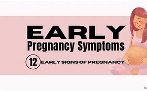 Image result for First Sign of Early Pregnancy