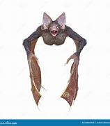 Image result for Poster Monster Bat 3D Halloween Hanging