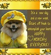 Image result for Happy New Week Funny