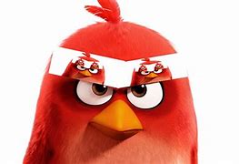 Image result for Angry Birds Funny