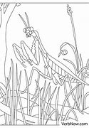 Image result for Closed Book Coloring Page