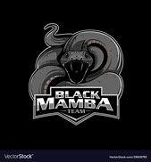 Image result for Black Mamba Logo