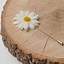 Image result for Daisy Lapel Pin