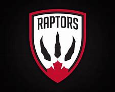 Image result for Toronto Raptors Jersey