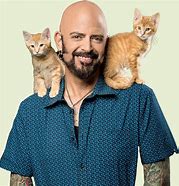 Image result for Jackson Galaxy Best Cat Food