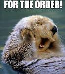 Image result for Baby Otter Thank You Meme