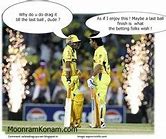 Image result for Cricket Puns