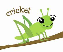 Image result for Cricket Green Clip Art