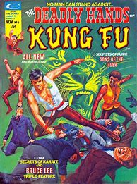 Image result for Kung Fu Comic Books