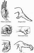 Image result for Animal Kung Fu Hands
