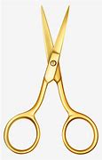 Image result for Golden Scissors