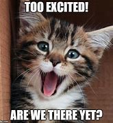 Image result for Funny Excited Cat Meme