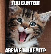 Image result for Excited Clapping Cat Meme